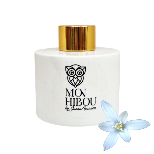 Ανοιξιάτικο Γιασεμί αρωματικό χώρου με sticks